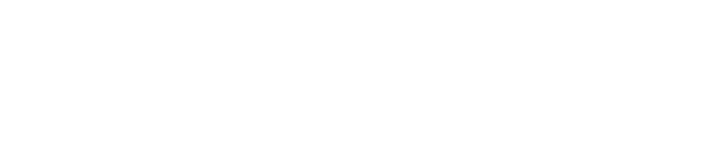 Logo for Lizzy Care
